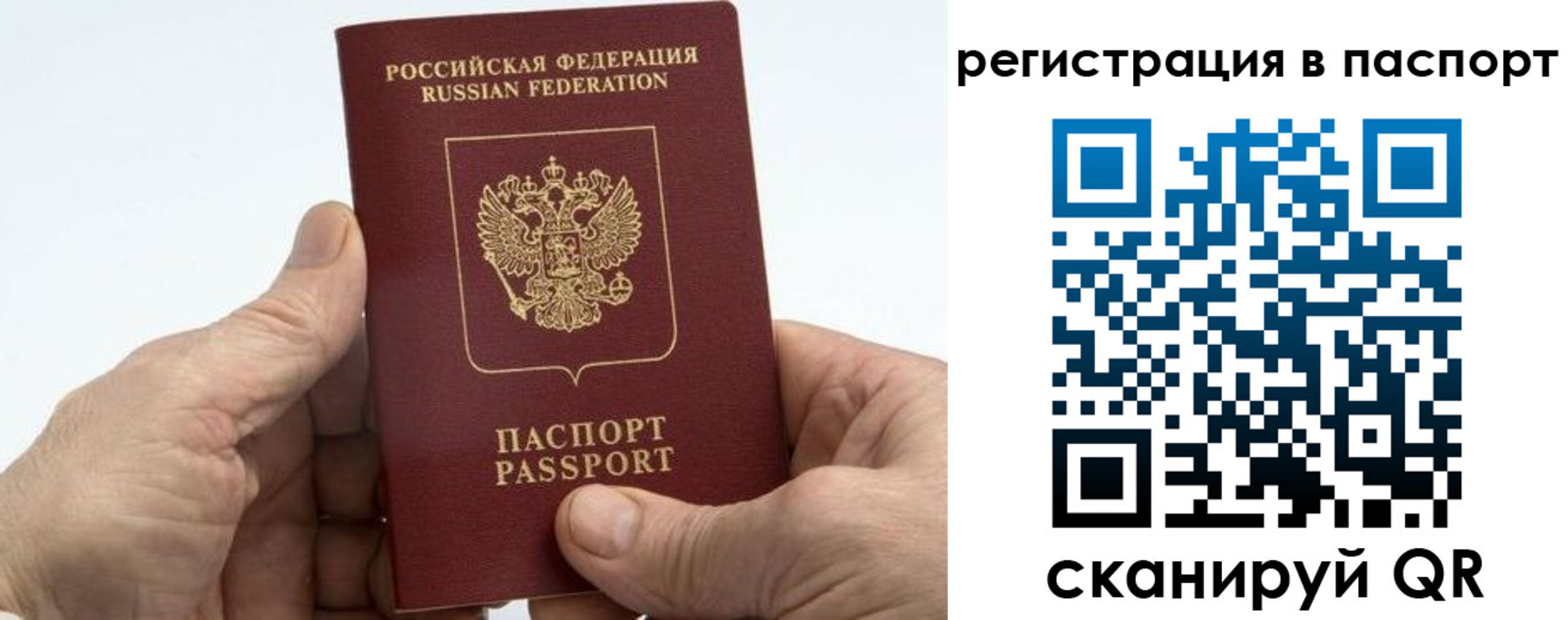купить прописку в Ростовской области